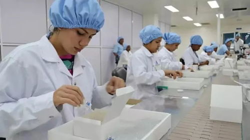 古巴抗癌疫苗取得新進(jìn)展，為攻克實(shí)體瘤帶來新希望